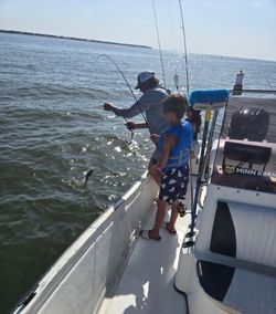 Angler fishing on the coast of MS