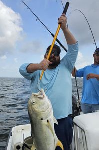 Crevalle Jack fish caught fishing in MS