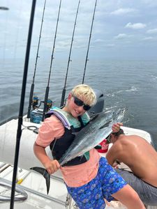 A single little tunny fish caught while fishing in MS