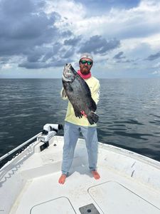 Photo of a 21-inch tripletail fish caught while fishing in MS