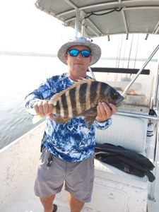 Fishing for Sheepshead in North Carolina Waters!