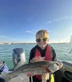 Walleye Pursuit: Lake Erie's hidden gems