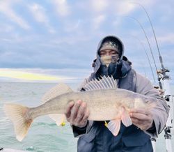 Angler holding a large walleye fish caught in Huron