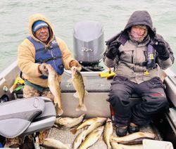 3 gafftopsail sea catfish, fishing in Huron