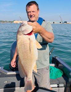 Angler holding a 28-inch fish in Ohio