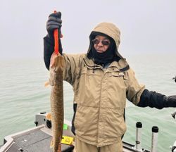 A photo of a large northern pike caught while fishing in Huron.