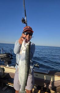 Coho salmon fishing in ON