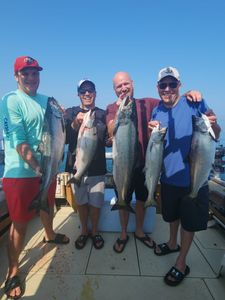 5 caught Pink Salmon and Chinook Salmon, 24-inch fish