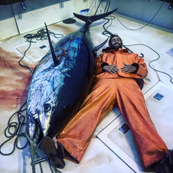 Atlantic Bonito, 54-inch fish caught fishing in NC