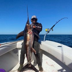 One blue marlin fish caught in Wanchese