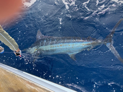 One fishing adventure in North Carolina