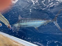 A fishing trip in the beautiful town of Wanchese