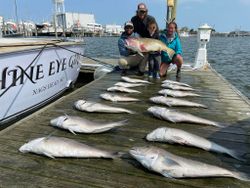 7 fish caught in Wanchese while fishing