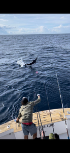Scenic Wanchese fishing scene