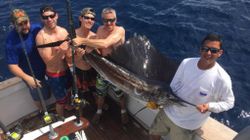 Jupiter's Sailfish Extravaganza