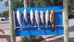 Tuna Tales: A Fin-tastic Journey in Jupiter, FL!
