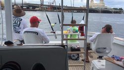 Inshore or Offshore? Sailfish Say 'Let's Do Both!