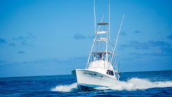 Jupiter, Florida Offshore Fishing