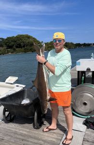 A single Atlantic Sailfish caught while fishing in Jupiter