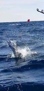 Fishing in FL