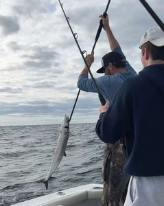 Fishing in Jupiter