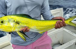 A stunning view of Jupiter, the largest planet in our solar system.