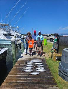 Nice catch of yellow fin & black fin tuna! 