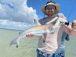 Shark fishing galore in Port Isabel, TX