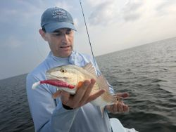 Hard-Fighting Redfish Catch