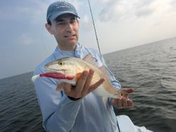 Bold Redfish Catch