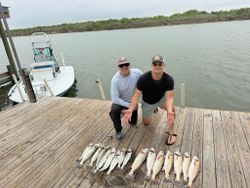 Loaded Speckled Trout, Redfish, and Flounder Haul