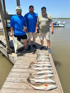 3 big fish caught by 3 people in Port Isabel