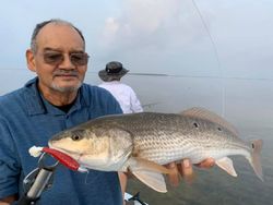 Redfish supremacy in Port Isabel waters