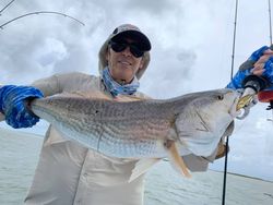 Redfish bounty in Texas waters