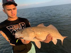 Black Drum paradise in Port Isabel, TX