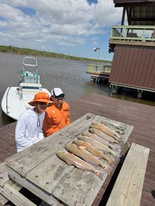 Fresh caught redfish displayed on wooden dock table in Port Isabel TX after successful fishing trip
