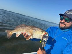 Redfish caught in TX