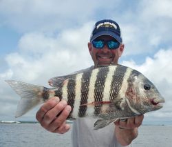 A sheepshead fish caught while fishing in St. Augustine