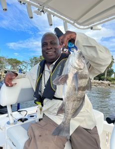 A Black Drum fish measuring 22 inches, caught while fishing in St. Augustine