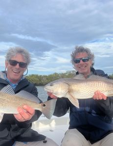 Two redfish, 15 inches long, caught while fishing in FL