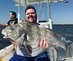 Photograph of a huge black drum fish caught while fishing in St. Augustine