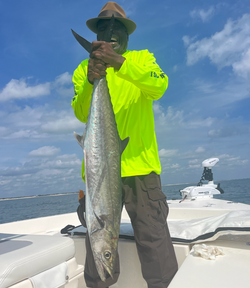Majestic King Mackerel caught while fishing in FL