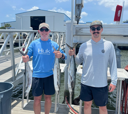 3 king mackerel caught while fishing in St. Augustine