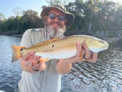 Redfish caught while fishing in FL