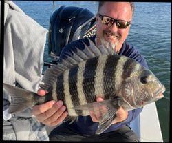 Sheepshead fish caught while fishing in FL