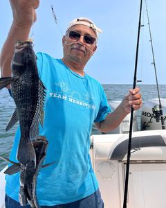 Angler's Delight: Black Sea Bass