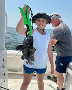 Reeling in Bass, Saltwater Delight