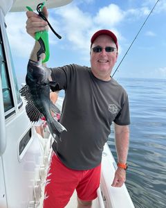 Private Fishing Charters  With Sandy Hook Charters