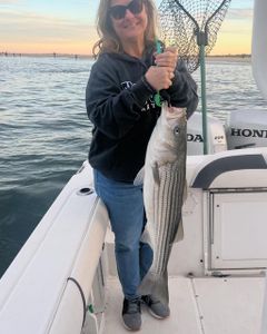 Striped Bass Fishing in New Jersey!