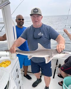 Dusky Smooth-Hound caught in Middletown Township